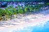 Occidental Grand Flamenco Punta Cana 